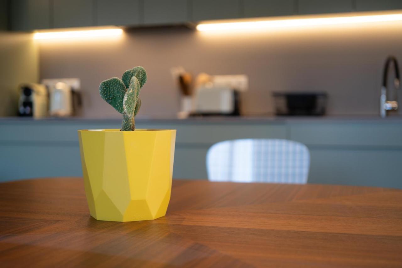شقة The Nest أثينا المظهر الخارجي الصورة